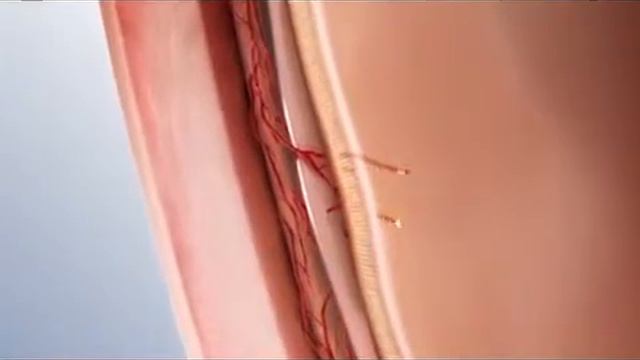 ВМД смотреть онлайн