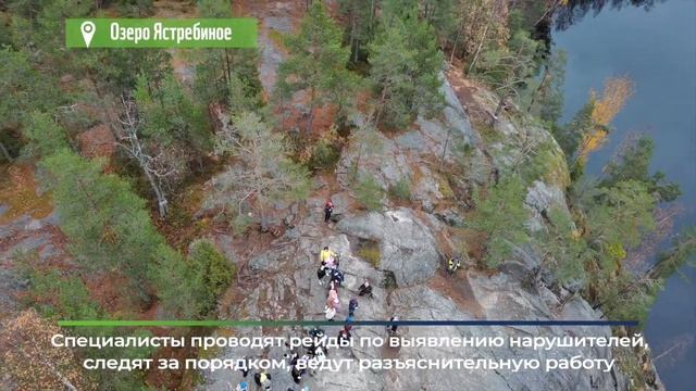 48 островков природы ООПТ Ленинградской области смотреть онлайн