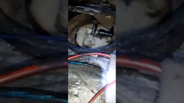 Тоета Камри 20,25 не заводится одна из причин бензонасос смотреть онлайн