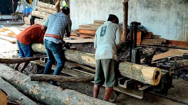 Kayu bolong hasil rampasan dari tangan pencuri kayu perhutani ternyata ada isinya смотреть онлайн