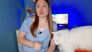 Подборка КОРМОВ для мейн-кунов