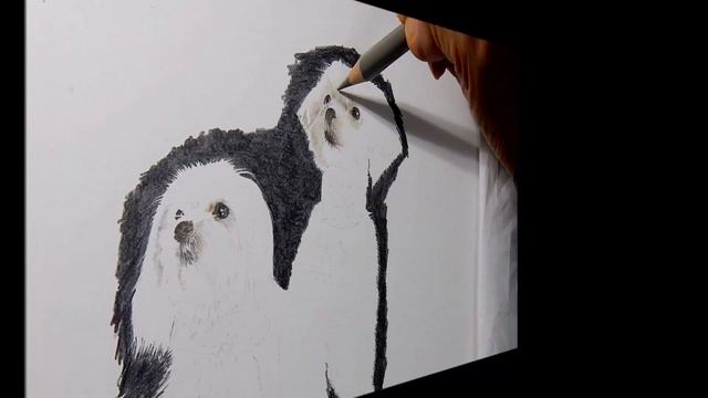 【色鉛筆画】白い犬の毛並みの描き方 смотреть онлайн