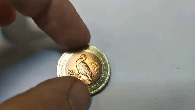 10 рублей 1992 года. Краснозобая казарка. Красная книга смотреть онлайн