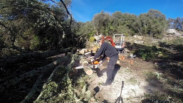 STIHL MS 261 C-M