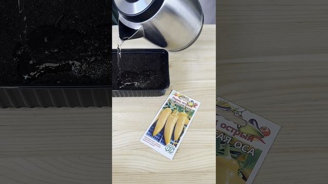 Секрет посева жгучего перца смотреть онлайн