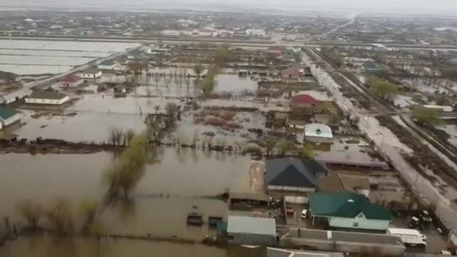 За помощью - в мобильную приемную смотреть онлайн