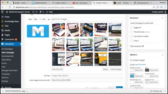 Как создать сервис E-mail рассылки на сайте? Премиум плагин MyMail - Email Newsletter для WordPress смотреть онлайн