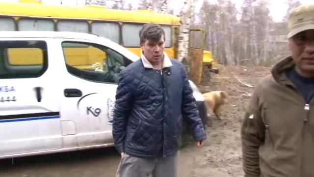 Собаки разнесли коттедж смотреть онлайн