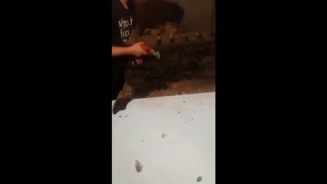 Машинка для стрижки овец KAISON 500