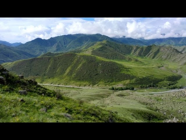 Лето ,Семинский перевал- Горный Алтай.