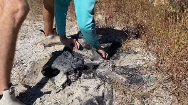 Finding snakes in trash and pinescrubs смотреть онлайн