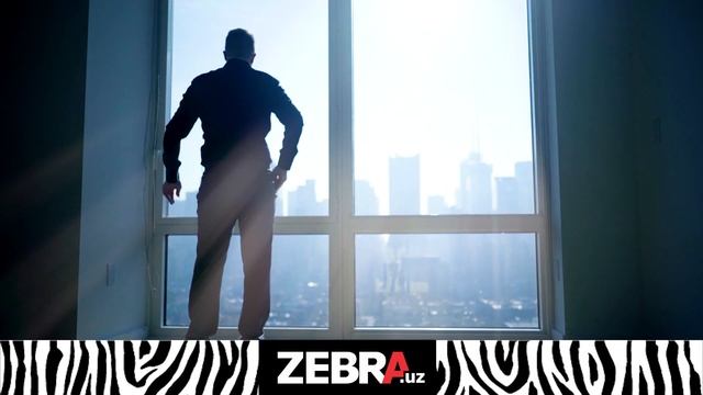 Zebra Жалюзи - лучшее решение для вашего дома смотреть онлайн