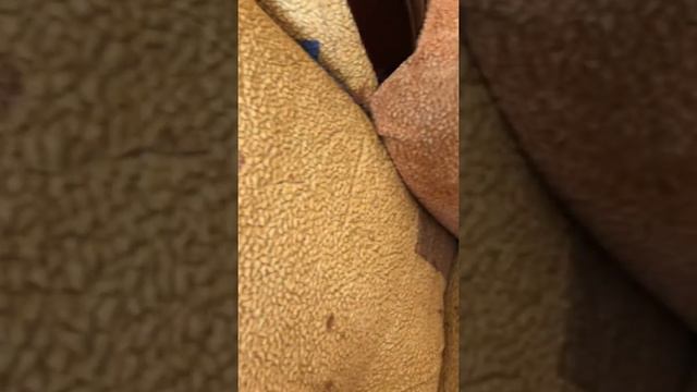 Универсальная салфетка смотреть онлайн