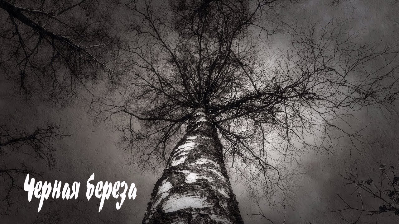 Виктория Черенцова - Чёрная берёза (HD1080p) смотреть онлайн