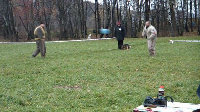 БР Чертаново 30.10.10 1-2 этап №12 Гросс смотреть онлайн