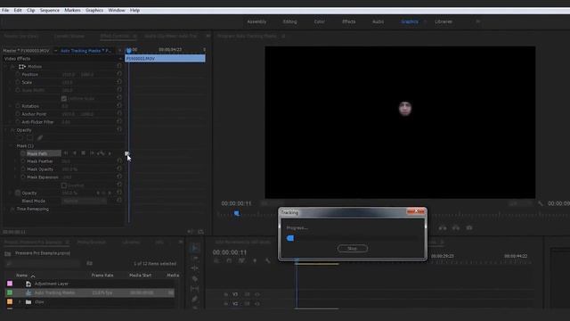 How to use Automatic Mask Tracking | Adobe Premiere Pro CC Tutorial/Online Course смотреть онлайн