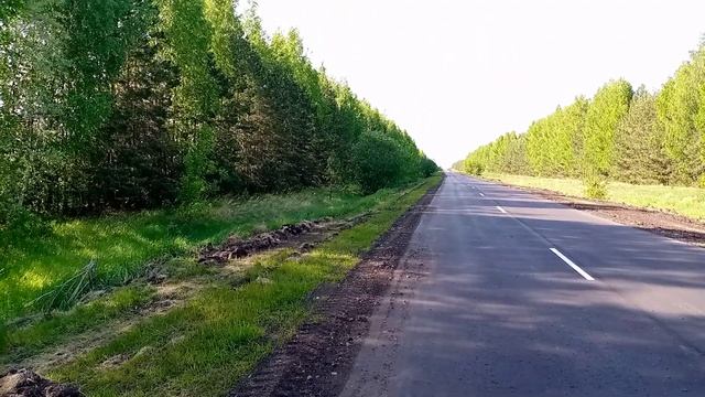 Чужая среди своих