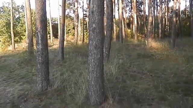 Балашов Саратовской области. Тарасова Гора 12 сентября 2019 смотреть онлайн