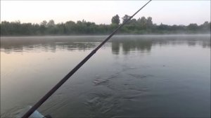 Ловля ельца и сорожки, в проводку с лодки на течении
