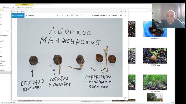 Садовод Железов Посадка семян природная или выдуманная смертельная смотреть онлайн