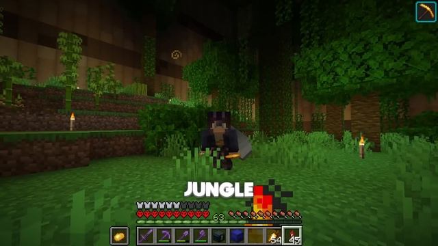 I Collected Every Villager in Minecraft Hardcore смотреть онлайн