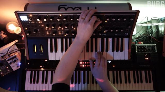 Moog Subsequent 37 - jam no.1 in C-minor #moog #subsequent37 смотреть онлайн