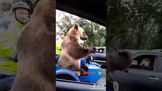 Он ещё невидел настоящую россию как касир водит пинкод карты покупателя а он стоит смотреть онлайн