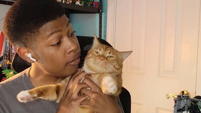 Watching *Steven Universe* FOR THE FIRST TIME Episodes 1-4 смотреть онлайн