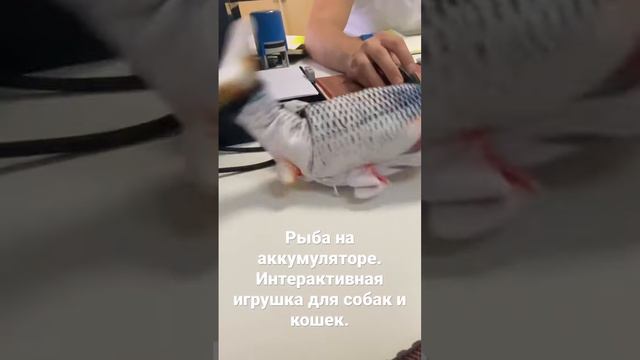 Интерактивная игрушка для собак и кошек - рыба. Заряжать от usb. смотреть онлайн