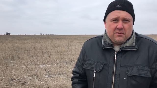 "Секреты" выращивания кориандра смотреть онлайн