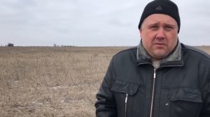 "Секреты" выращивания кориандра