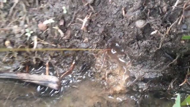 Hanya Orang yang hobi Mancing saja Yang tau nikmatnya tarik menarik смотреть онлайн