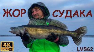 ПОПАЛ НА ЖОР СУДАКА! Ловля крупных судаков
