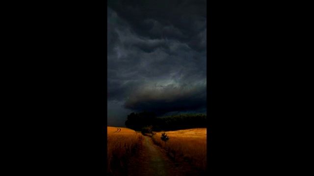 snowfall смотреть онлайн