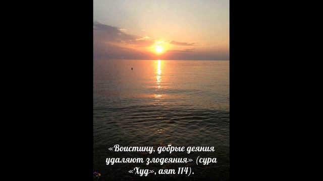 О пользе приветствия в Исламе. (Хадис 851) смотреть онлайн