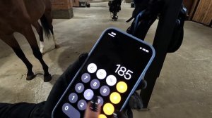 КАК УЗНАТЬ ВЕС ЛОШАДИ