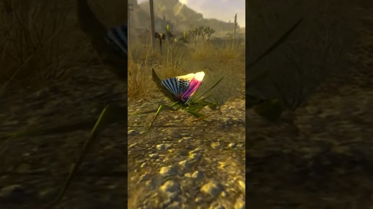 Ты кто? Ты че? Да в смысле? Богомол в Fallout New Vegas смотреть онлайн