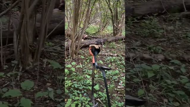 Монета Василия третьего, отца Ивана Грозного смотреть онлайн