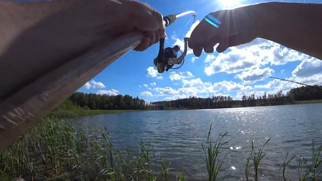 КАРПЫ ОТРЫВАЮТ КРЮЧКИ И СГИБАЮТ СПИННИНГ В ДУГУ !!! ЛОВЛЯ КАРПА НА ФИДЕР смотреть онлайн