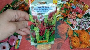 Клумба для ЛЕНИВЫХ Посев ОДНОЛЕТНИКОВ в мае без рассадным способом