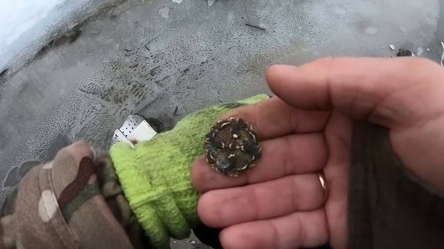 Такое ВИЖУ ВПЕРВЫЕ! НАШЕЛ ПОД ВОДОЙ ЗАГАДОЧНУЮ НАХОДКУ- водный коп 2020 смотреть онлайн