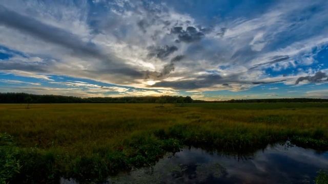 Earth Day 2020 День Земли смотреть онлайн