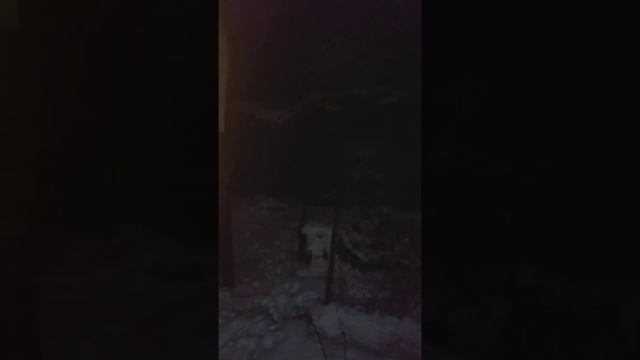 Ласка и куница вернулись... смотреть онлайн