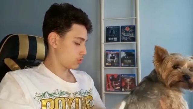 Звездное семейство животных