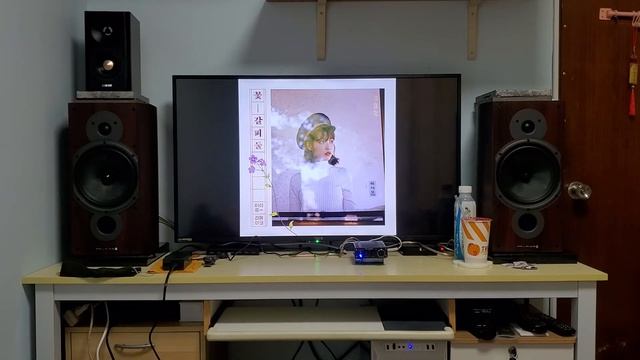 一腳踏進被動喇叭的世界? 英國 Wharfedale DIAMOND 9.3 Music Test 001 смотреть онлайн