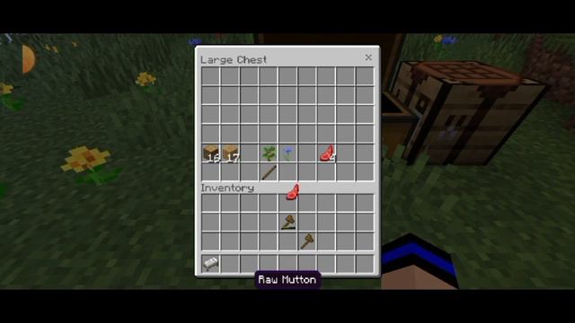 Minecraft Survival Series || But this unknown guy enter my server || #1 || @YesSmartyPie смотреть онлайн