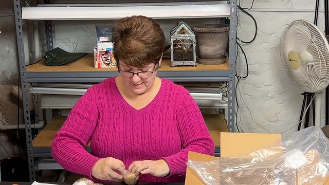 Back In The Studio - Cleaning Up, Unboxing, and Planting - 🧹📦🪴❤️ смотреть онлайн