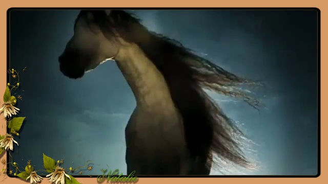 Ingrid Kup I Will Not Die