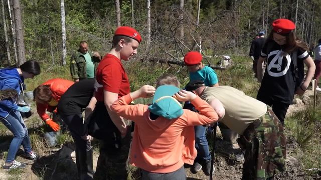 Акция «Лес Победы» объединила жителей Можайского городского округа смотреть онлайн