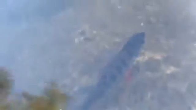Рыбалка на озере УЛОВ смотреть онлайн